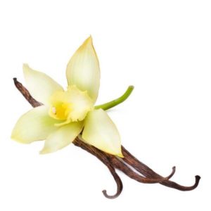 Madagascar Vanilla Bourbon TFA 10 ml